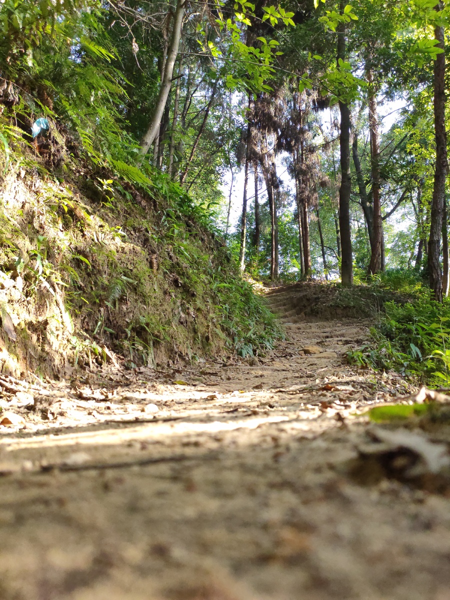 青灯古道斜阳林间小道落日斜阳
