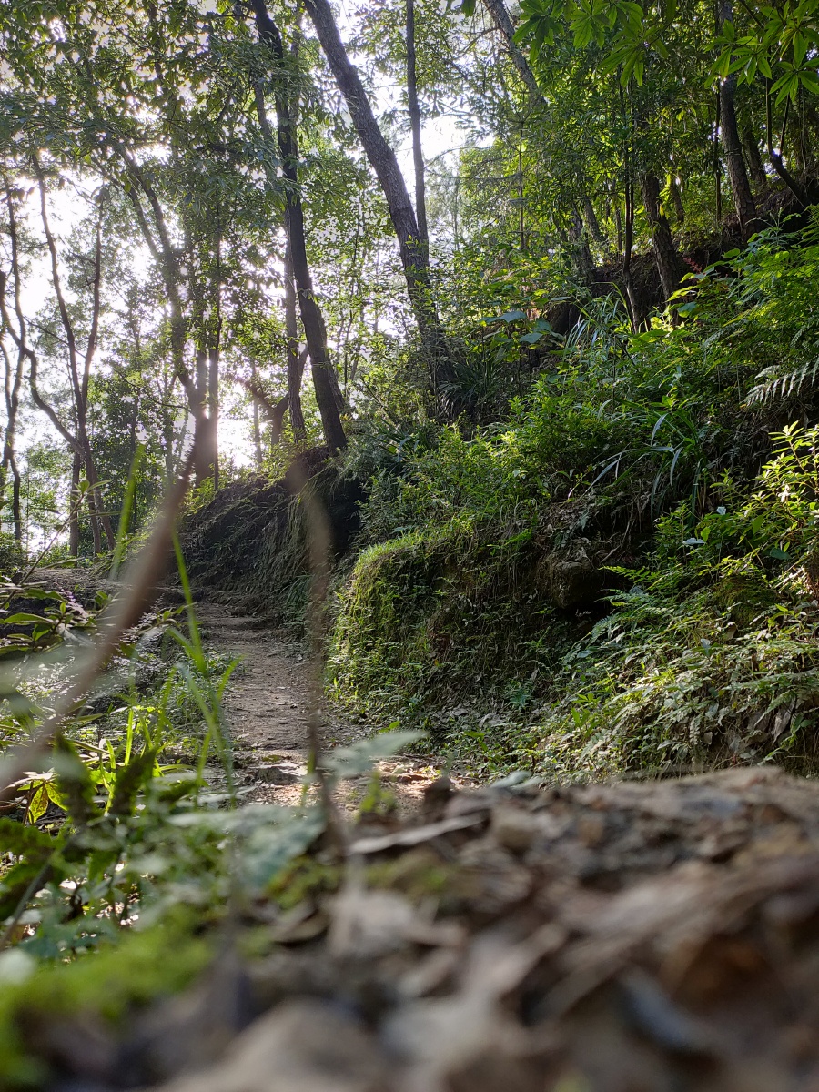 青灯古道斜阳林间小道落日斜阳