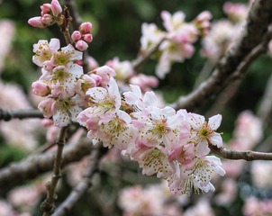 D1100B78-2474-4C6E-AF17-D27CFF05098F/L0/001