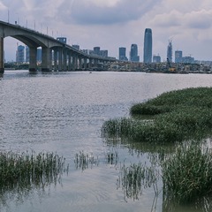 _DSF8517全景图