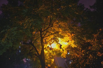 CF20A7FD-5376-4F6B-9DF6-F21564E499FC/L0/001