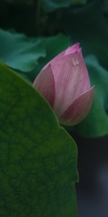 1000147543