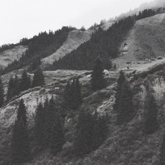6ED4A8AF-B0AF-4533-AFFB-2C1B85D79EE3/L0/001