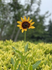 CF1B6D26-8354-438E-B3BA-C1A42637B697/L0/001