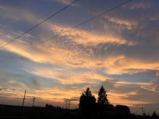 1B49FF5B-49AD-409F-8F22-ED99A9CD979E/L0/001