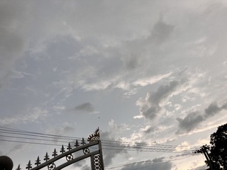 9D5F0F74-F26E-4AAD-85CF-D90BA58F6CC4/L0/001