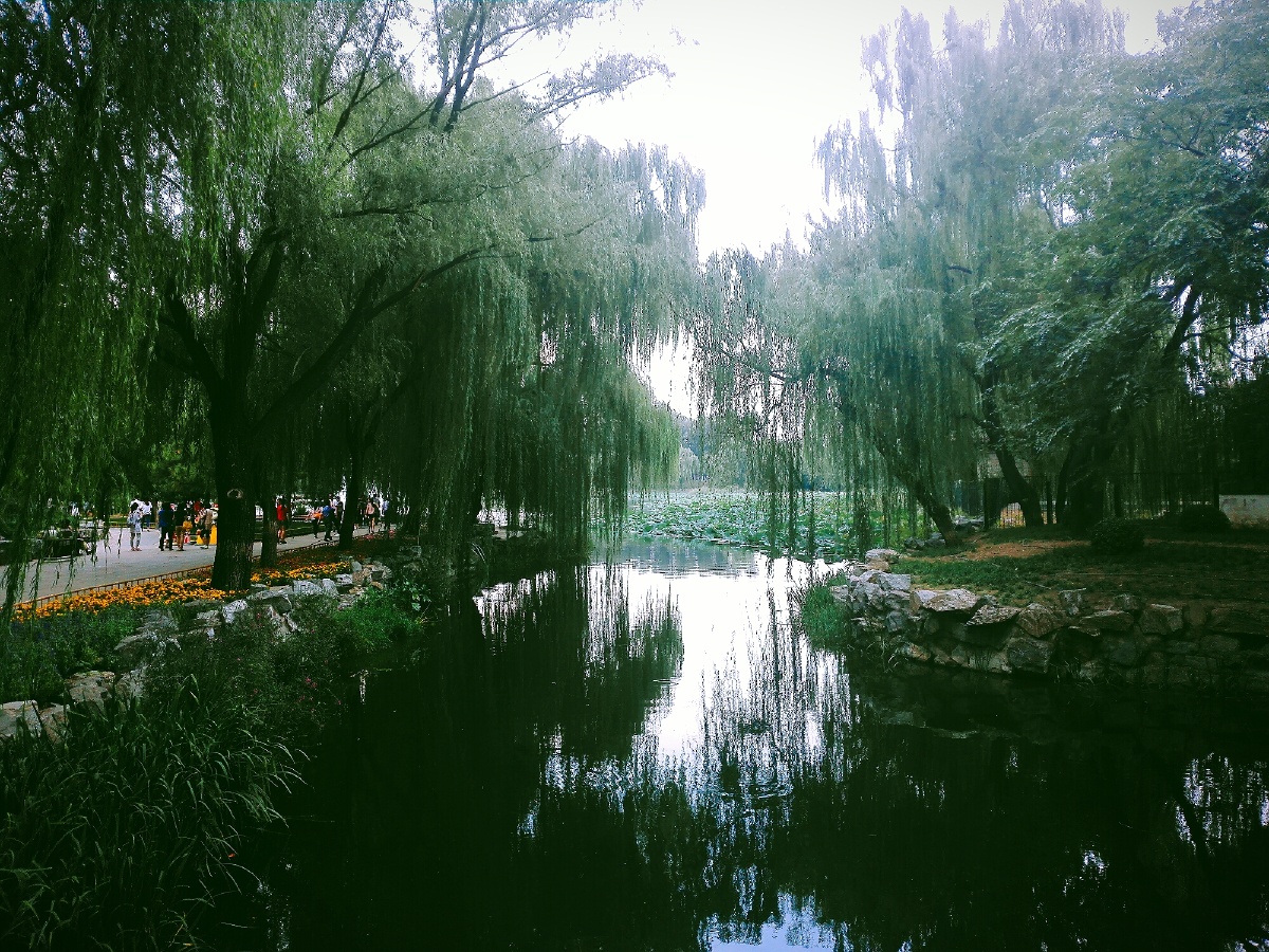 风景宜人岁月静好