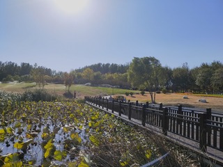 2145930