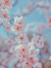 70F13FC0-AE0E-4341-9D47-744BA8CAEC42/L0/001
