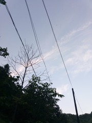 372234