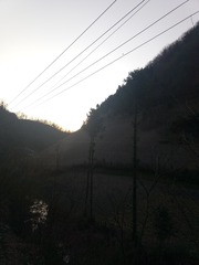 314873