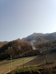 314912
