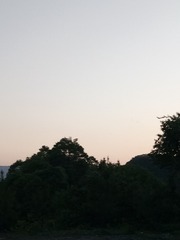 351853