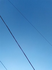 254813