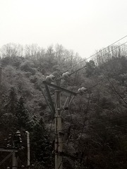 315010