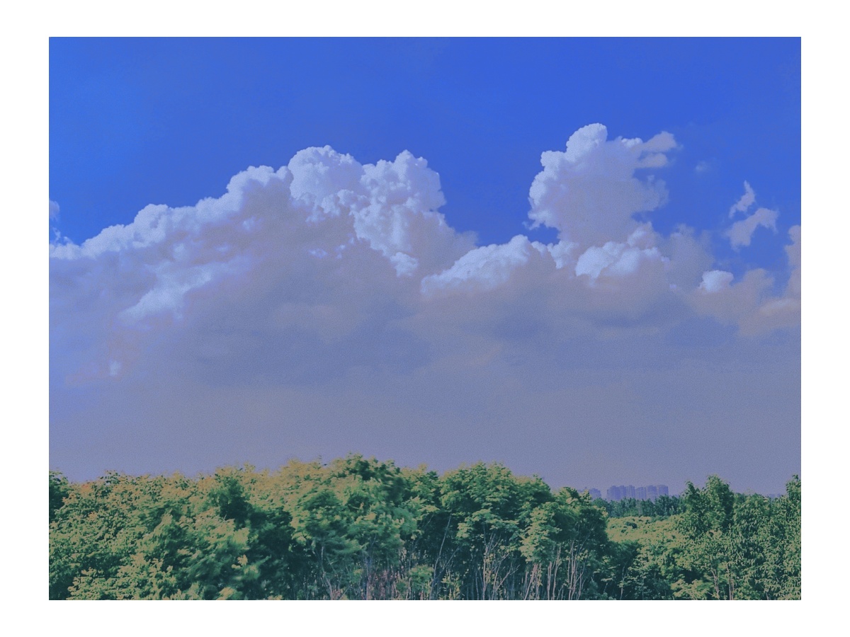 今天睡觉梦见了稻穗状的云送别