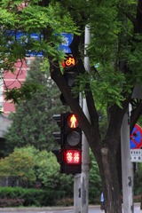 1B2CED9B-B7D9-4A01-B605-C7319EEE4745/L0/001