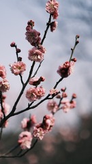 C2071BFC-2C0B-45B6-8897-493C31AC8EF1/L0/001