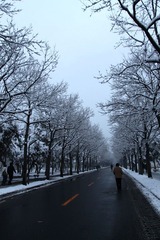 路