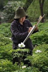 花与画