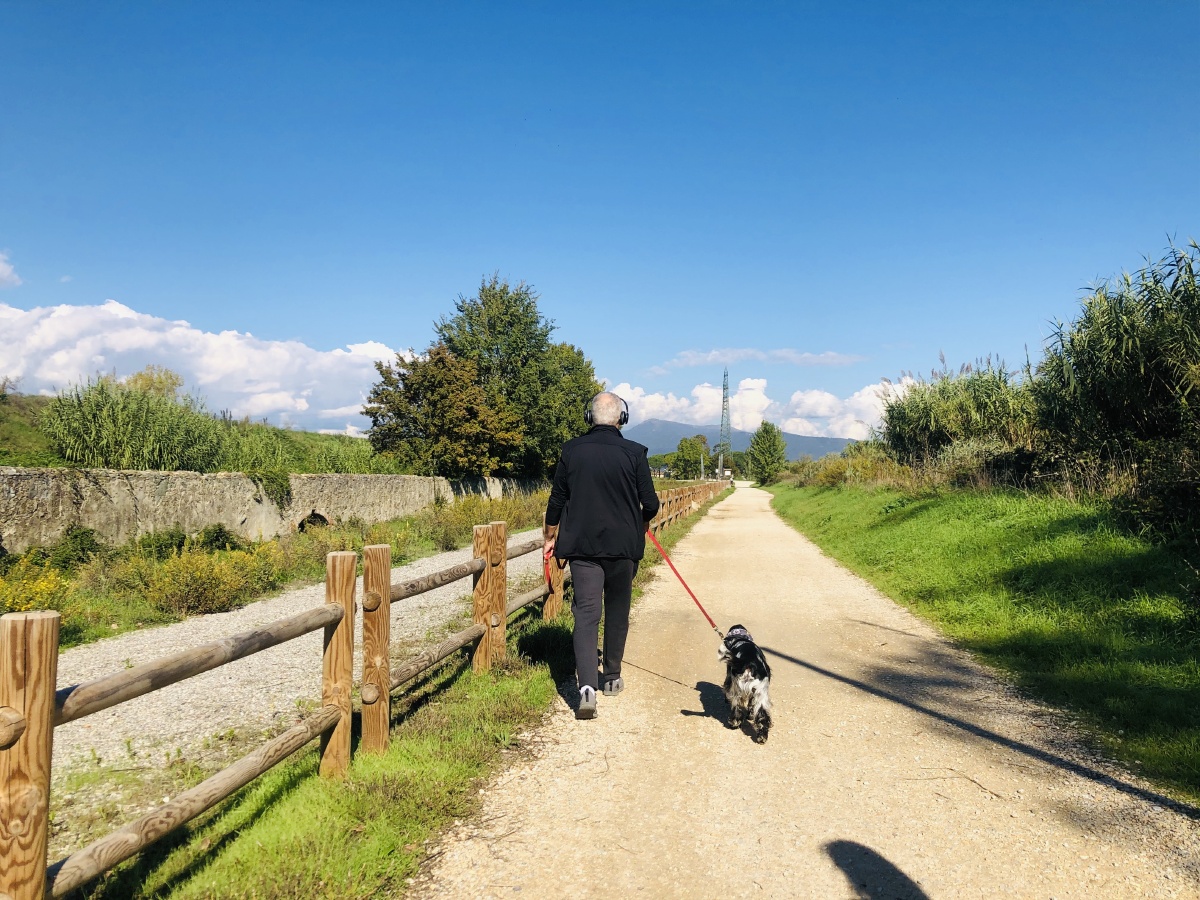 老人与狗老了也要酷酷酷的