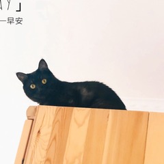 8ABE9B7F-99B2-4F5B-AA9F-11E9F7E4E156/L0/001