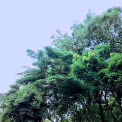 20110715288副本.jpg