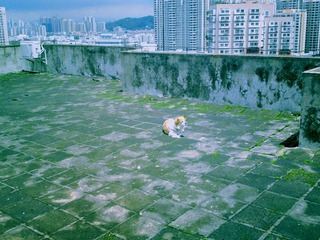 20110715284副本.jpg