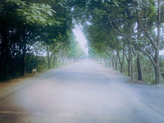 20110902353副本.jpg
