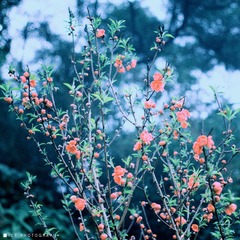 IMG_94800.jpg