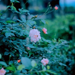 IMG_9580副本.jpg