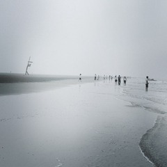 MG_2945.jpg