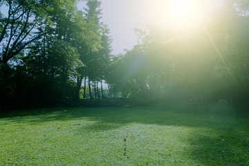 P8080503x