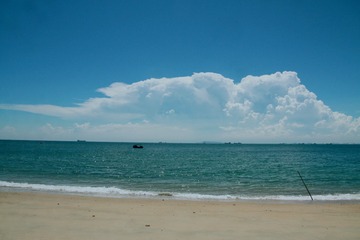 IMG_8591x