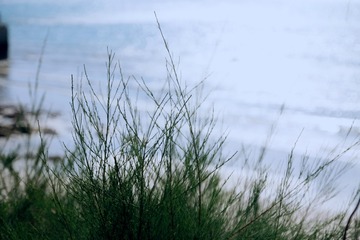IMG_8705x