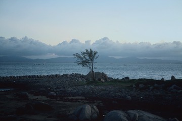 IMG_8824x