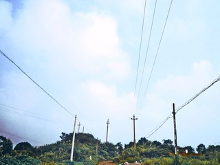 P1080120p.jpg
