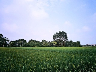 P1080132p.jpg