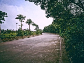 P1080111p.jpg
