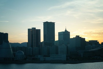 IMG_1488x.jpg