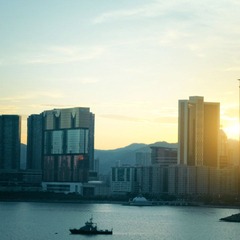 IMG_1493x.jpg