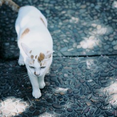 IMG_1145x副本.jpg