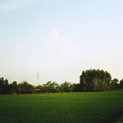 P5090243x.jpg