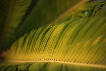 058B257B-87C5-4D87-B41B-6FB1B34264D9/L0/001