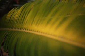 8C450CFF-73C2-4AB9-B3F6-1BEB0C0C1C48/L0/001