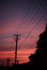 E1AF92F1-1F0C-45BE-AB41-C33FC37E2E2B/L0/001