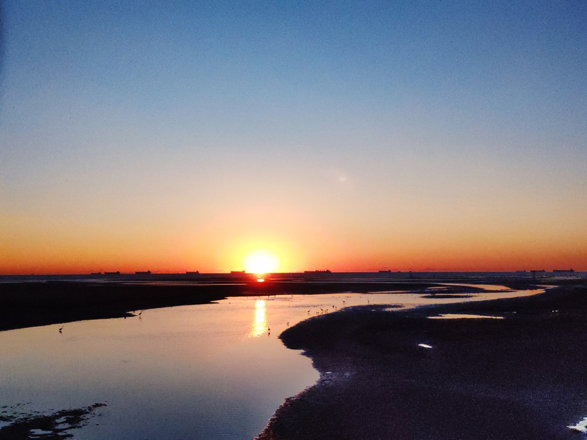 生活一角过年2021 秦皇岛日出93 大连小猫咪93 - 我椰子水儿呢