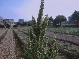 C5D1E74E-931E-45B9-8E49-B222C072EFE9/L0/001