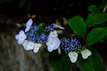D272F08A-0A91-4937-9D99-9BD10F2DA382/L0/001