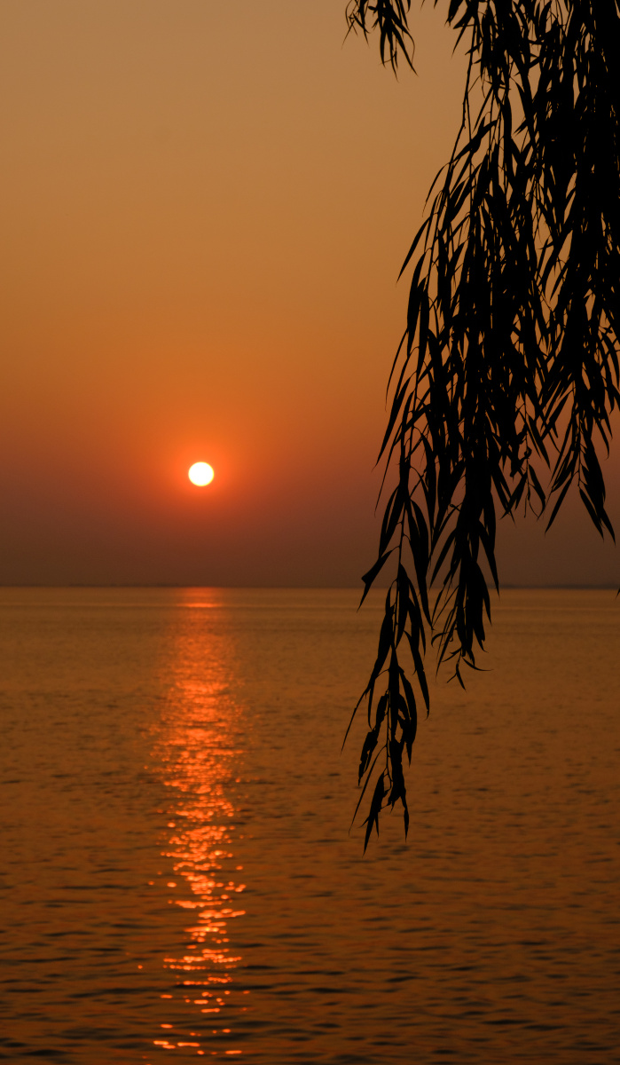 洞庭湖畔的夕阳剪影落日黄昏